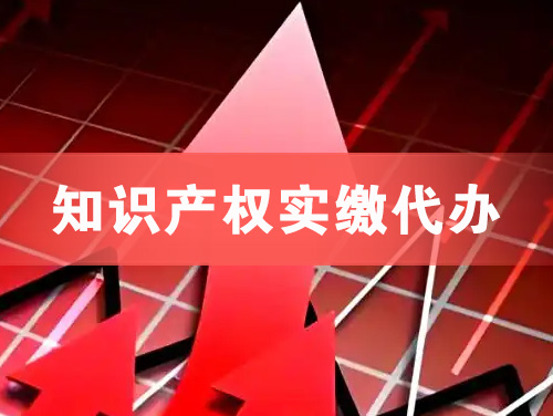 南通知识产权实缴资本代办